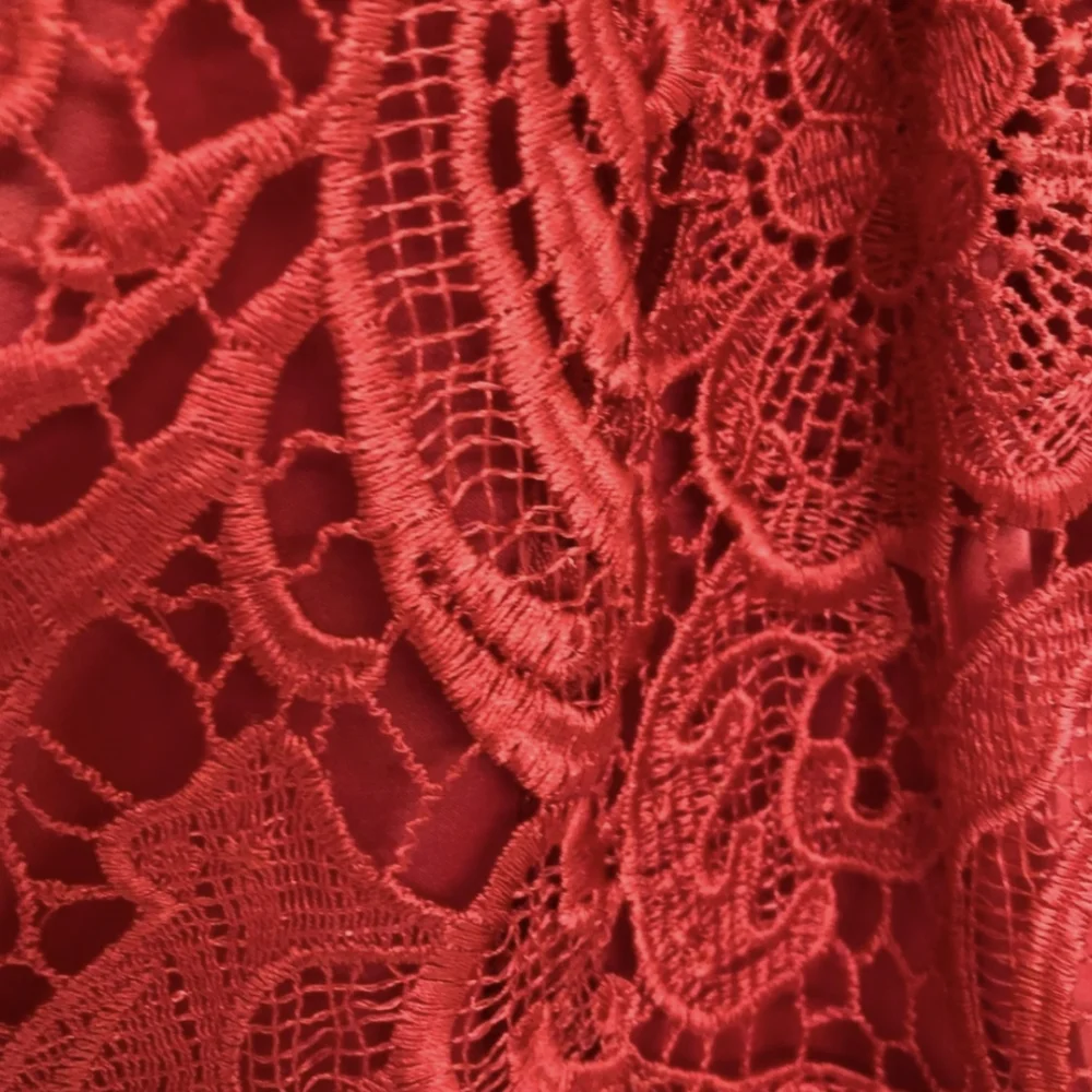 Adrianna Papell Rose Red Lace Illusion Party Dress XS - Picture 7 of 13